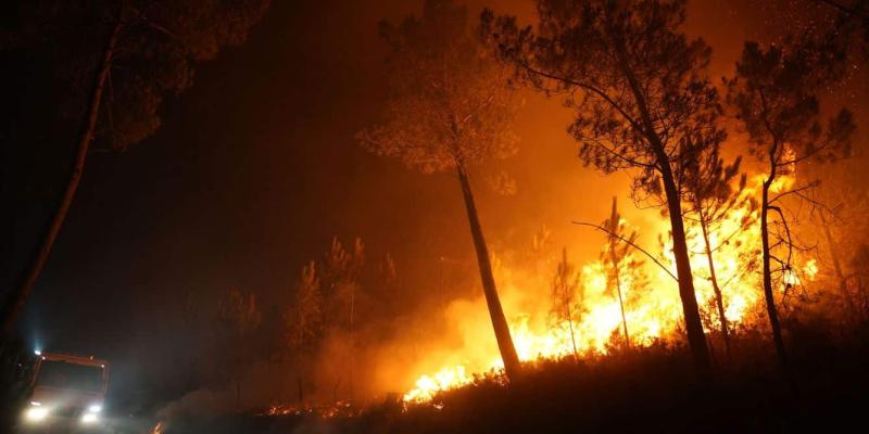 El noroeste español y los incendios forestales