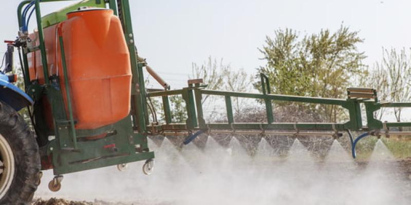 La industria y el sector servicios crece