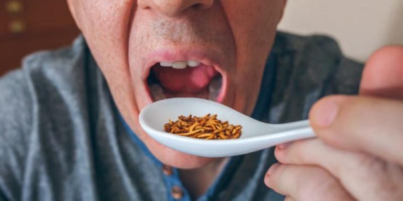 Chico comiendo insectos