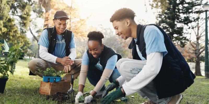 Jóvenes plantando un árbol