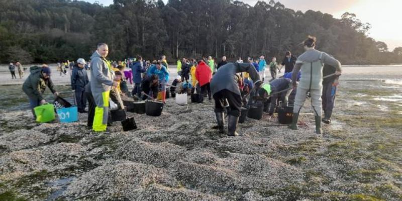 El sector de marisqueo en Galicia se queda sin jóvenes
