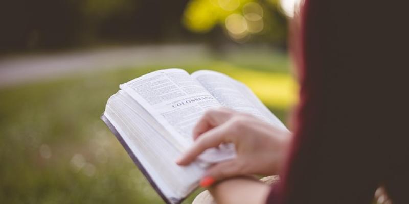 Chica leyendo un libro en el campo