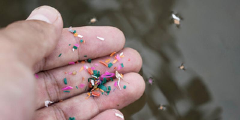 Los daños de los microplásticos en el organismo