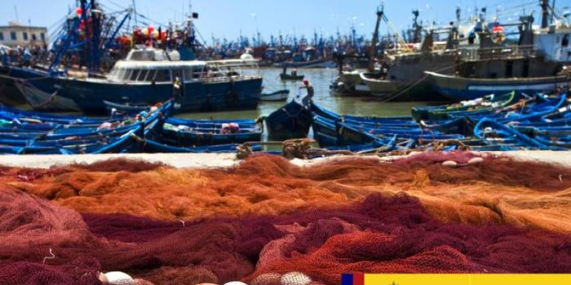 Barcos de pesca en un puerto 