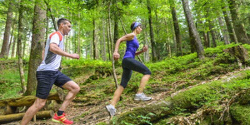 Las mioquinas y el ejercicio físico