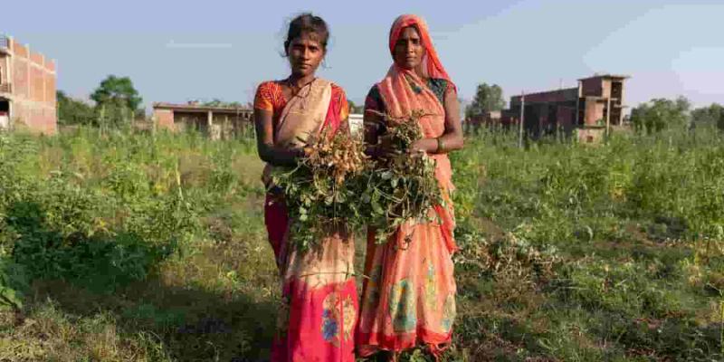 Mujeres agricultoras y cambio climático