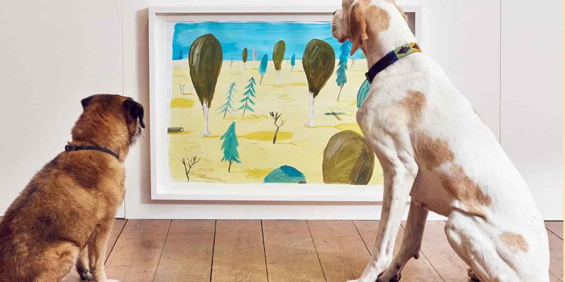 Italia cuenta con museos para perros