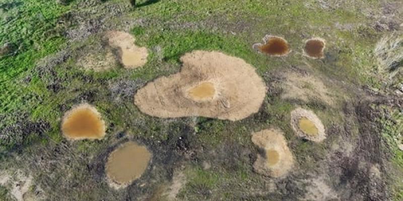 Nestlé colabora con otras entidades para mejorar el medio natural 