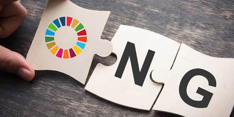 Compromisos de las ONG internacionales