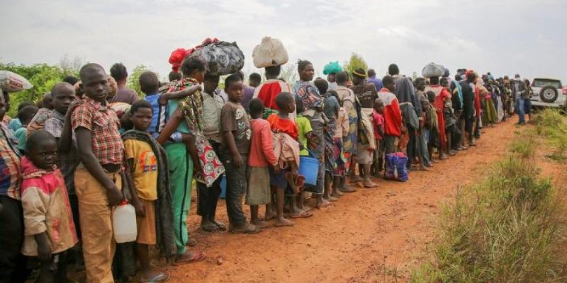 desplazados forzosos