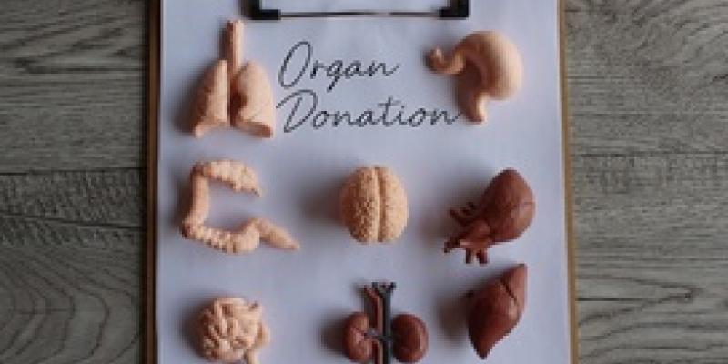 Requisitos para donar órganos