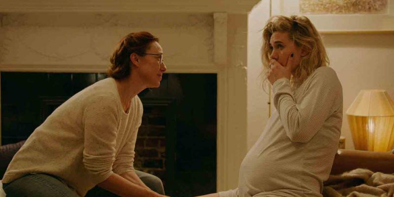 Los partos en domicilios deben decidirse en el Tribunal Constitucional