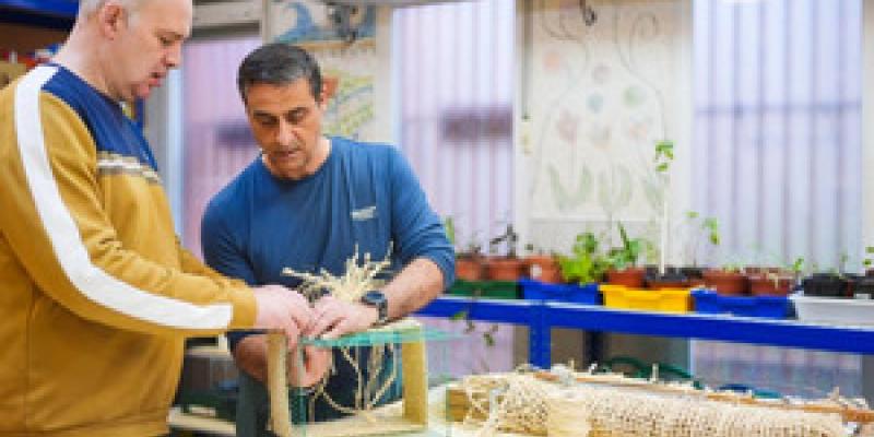 Inclusión laboral en Madrid