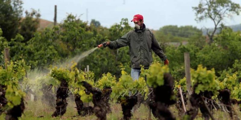 Problemas de plaguicidas y toxicidad