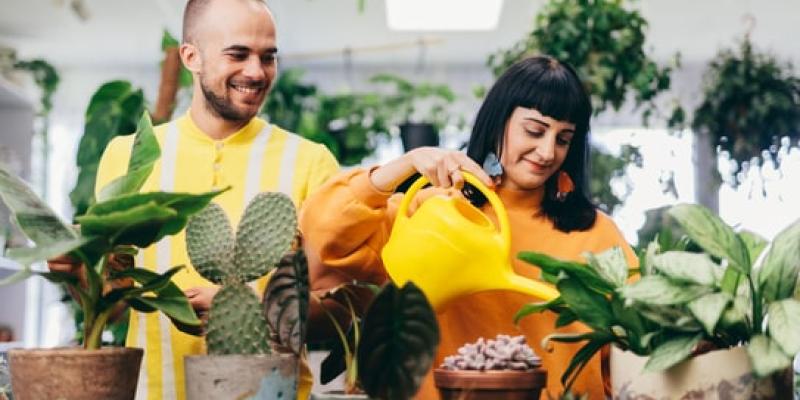 Qué cantidad de agua debemos echar a las plantas
