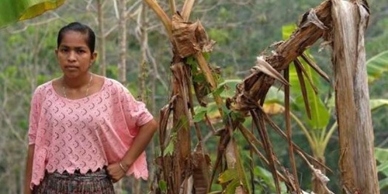 Aurelia, productora de banana en Guatemala | Foto de Christian Aid/Amy Sheppey