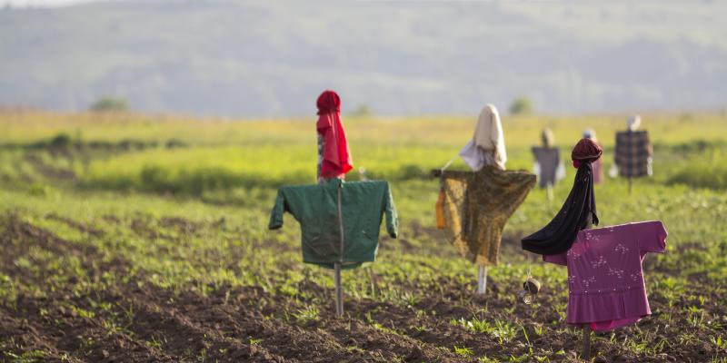 Pobreza climática y consecuencias en la salud