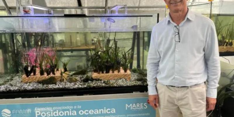 Juan Antonio López Jaime, junto a uno de sus cultivos de posidonia oceánica