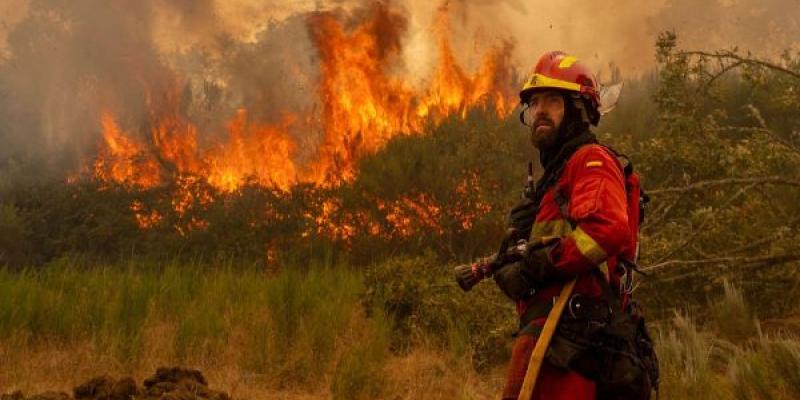 Invertir en prevención de incendios forestales ahorraría millones y también pérdida de biodiversidad