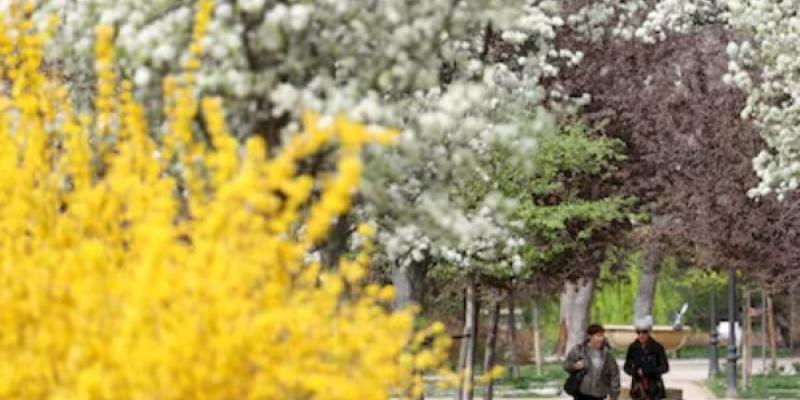 La primavera 2026 será una de las más duras para los alérgicos