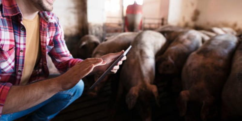 Qué son los productos zoosanitarios