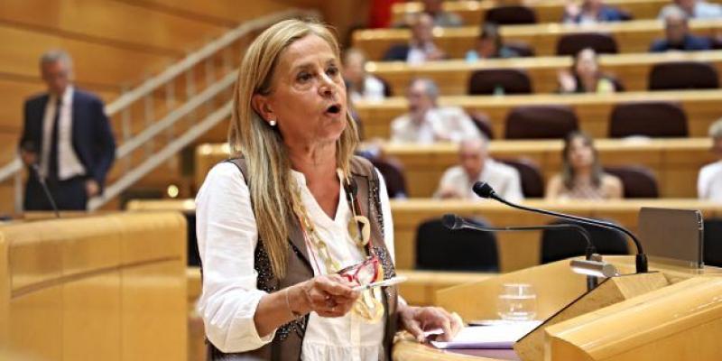 Carmela Silva, durante una sesión plenaria del Senado 