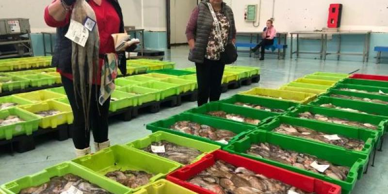 Pulpos en lonja gallega