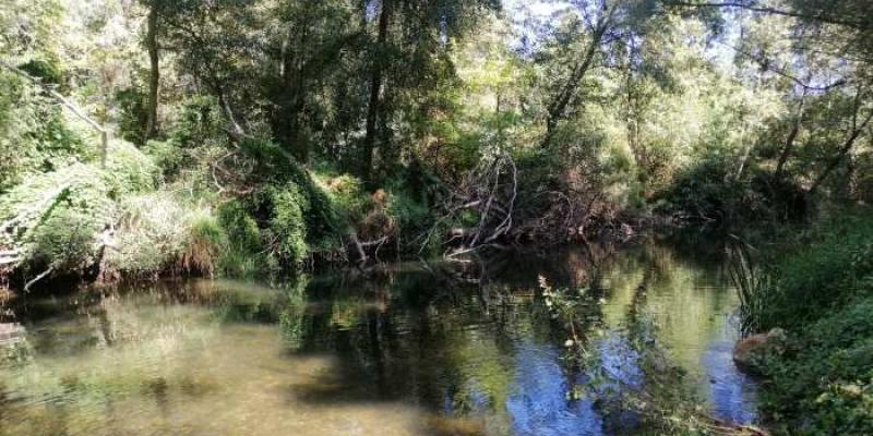 Zona de lodos contaminados en el río Jarama, que desemboca en el Tajo