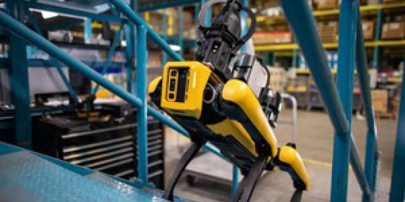 Roboperros para el medio ambiente