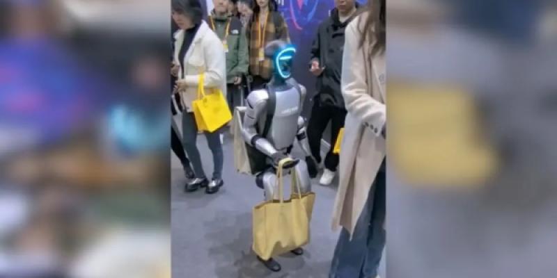 Robots humanoides en la vida cotidiana del país del sol naciente