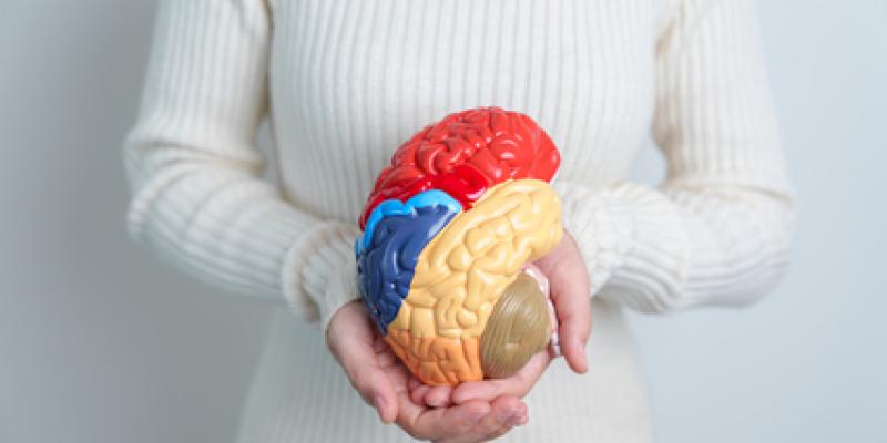 Preguntas sobre salud cerebral