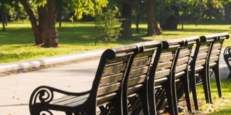 Bancos en un espacio verde