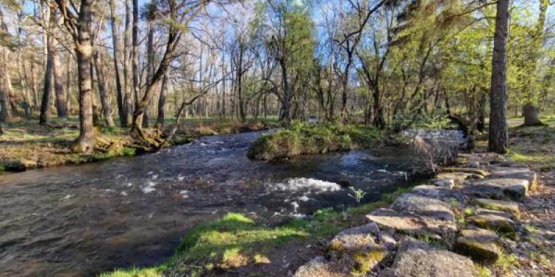 Un tramo de la Senda de las Pesquisas Reales