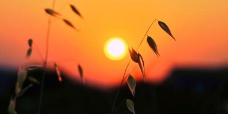 Luz del sol al amanecer y al atardecer