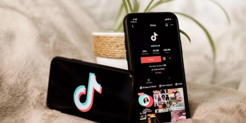 TikTok y la seguridad digital