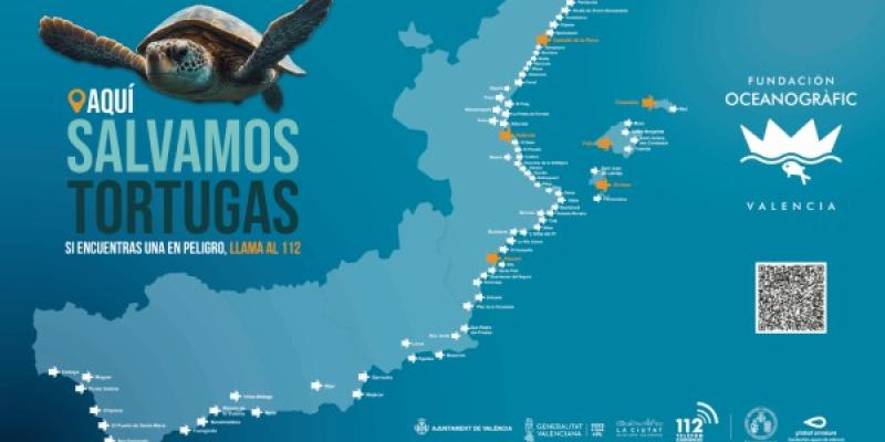 Infografía del Oceanográfic de Valencia sobre las tortugas en el Mediterráneo