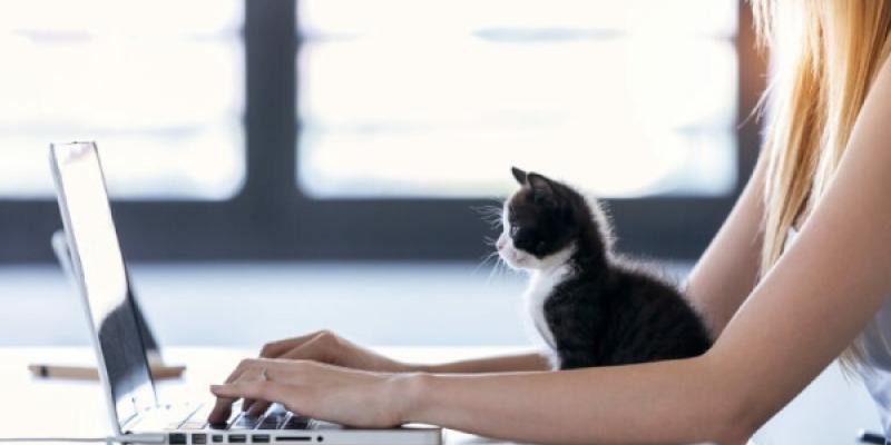 Trabajar con silencio en casa