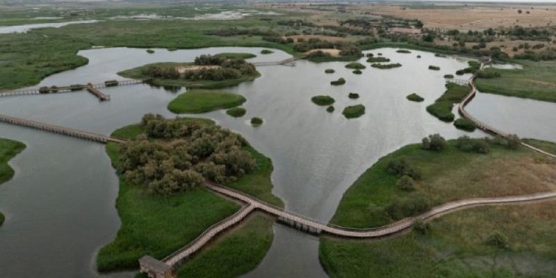 Imagen aérea de las Tablas de Daimiel con agua