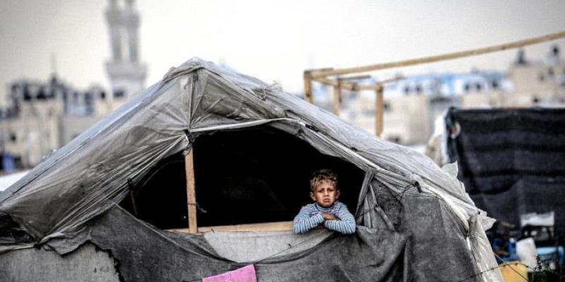 Un niño se asoma desde su refugio improvisado construido con madera y plástico al sur de Gaza