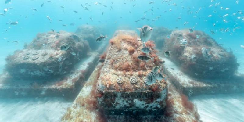 Miami lanza una autopista para recuperar la vida marina