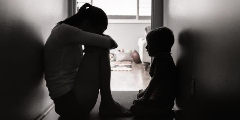 Primera Ley Integral contra la Violencia Vicaria