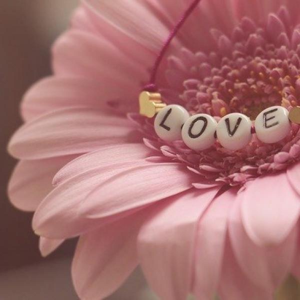 Flor con una pulsera / Pixabay