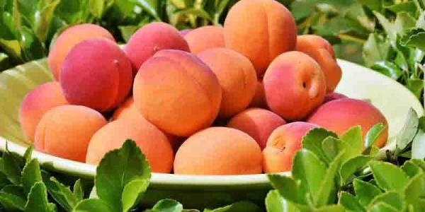 Mayo es el mes de las frutas veraniegas y los tomates