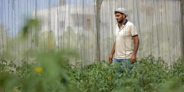 Acción contra el Hambre apoya a los agricultores