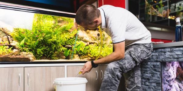 La acuariofilia es una pasión