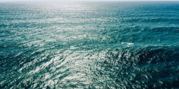 Tratado de los Océanos 2030