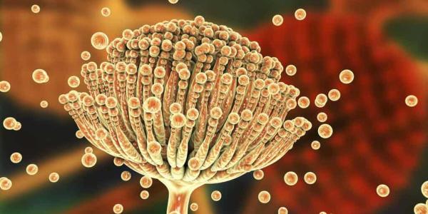 Amenazas de hongos y enfermedades pulmonares