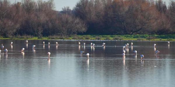 Andalucía lidera la renovación del cambio climático