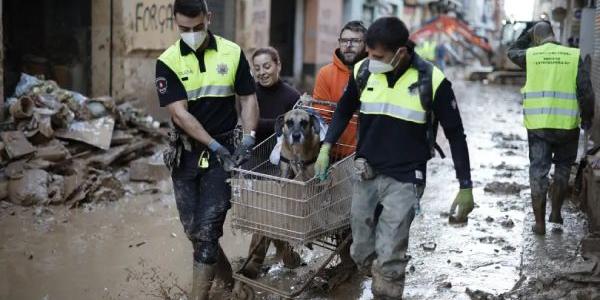 Durante la dana que afecto Valencia salvando a animales de compañía