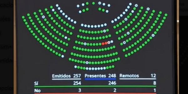 Votación de la reforma del artículo 49 de la Constitución